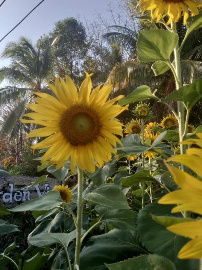 Phayam Garden View Hotel Đảo Ko Phayam Ngoại thất bức ảnh