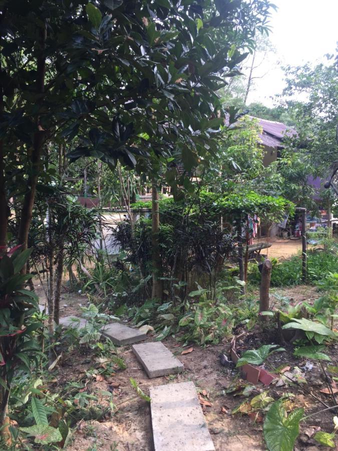 Phayam Garden View Hotel Đảo Ko Phayam Ngoại thất bức ảnh