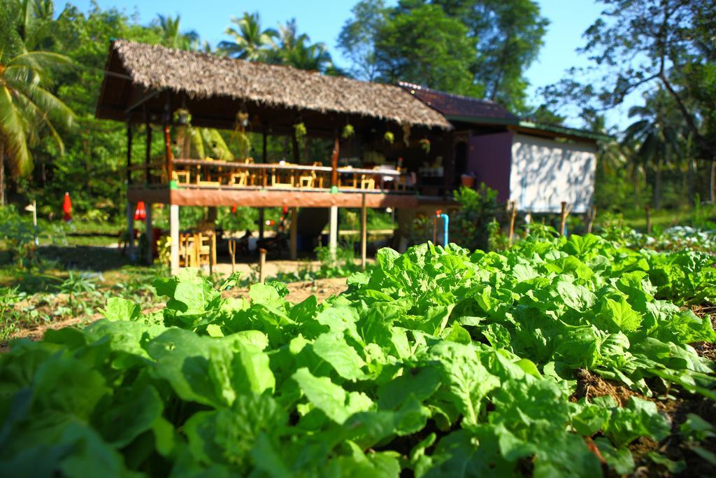 Phayam Garden View Hotel Đảo Ko Phayam Ngoại thất bức ảnh