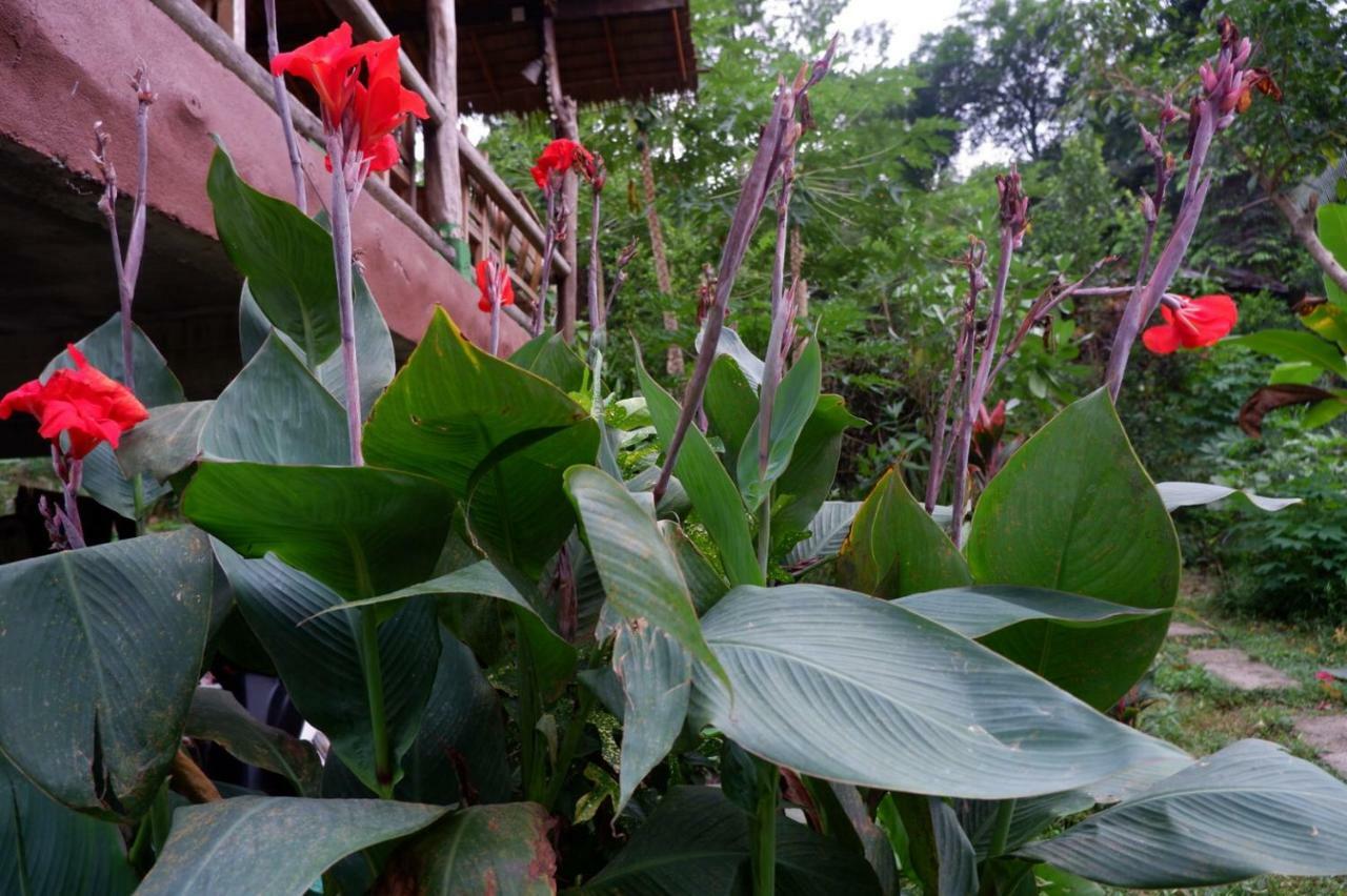 Phayam Garden View Hotel Đảo Ko Phayam Ngoại thất bức ảnh